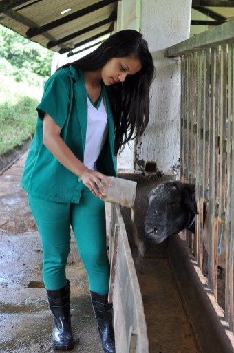 Curso Técnico em Agropecuária