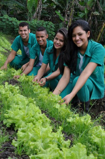 Curso Técnico em Agropecuária