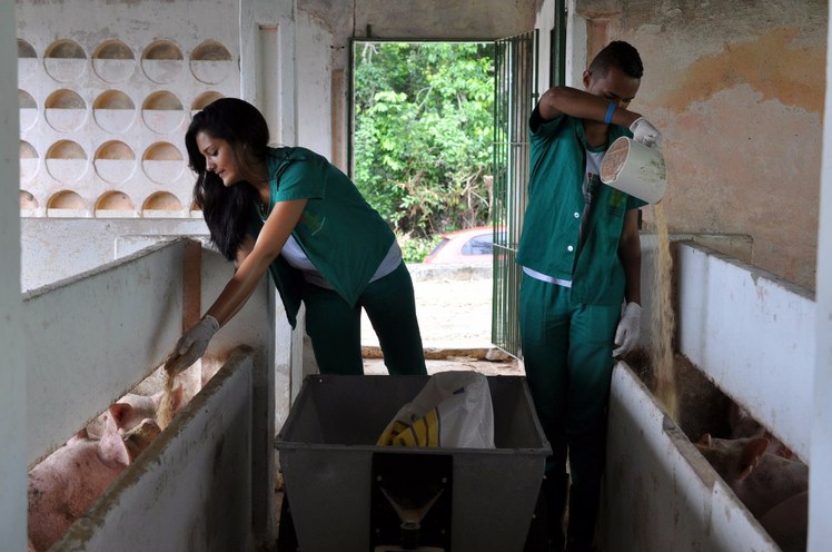 Curso Técnico em Agropecuária