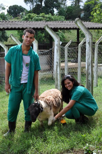 Curso Técnico em Agropecuária