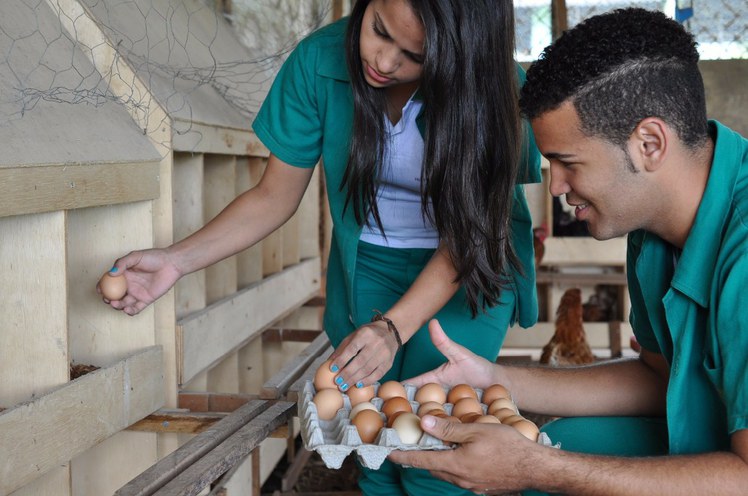 Curso Técnico em Agropecuária