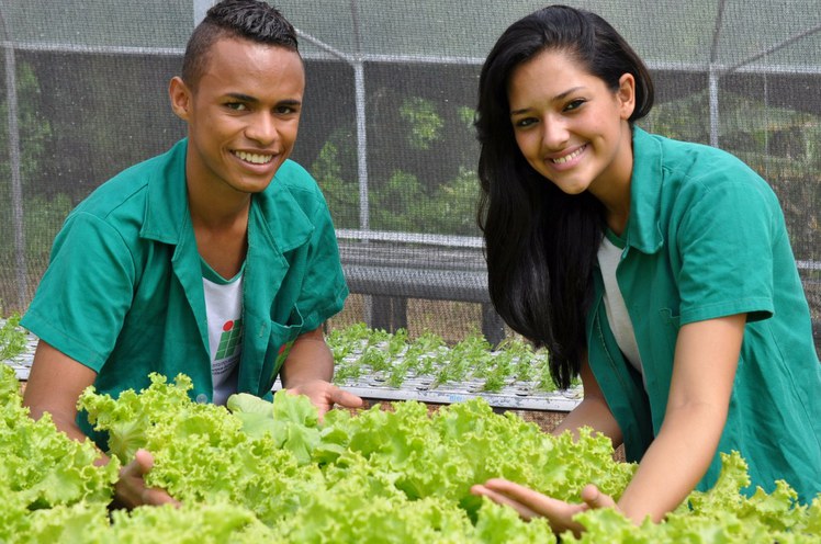 Curso Técnico em Agropecuária