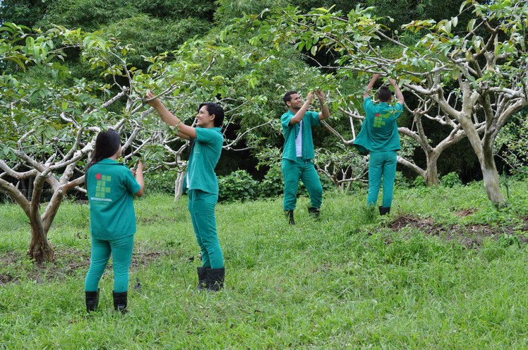 Curso Técnico em Agropecuária