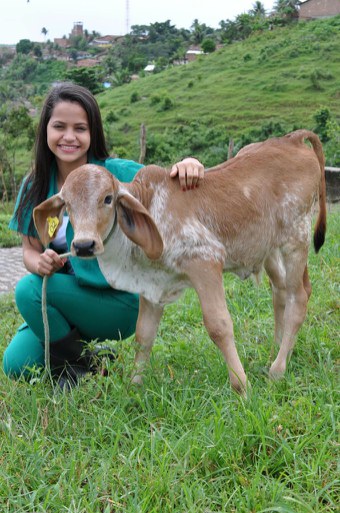 Curso Técnico em Agropecuária