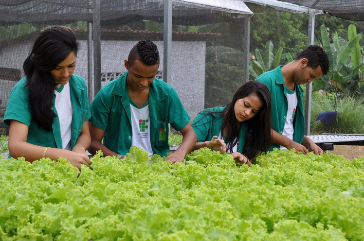 Curso Técnico em Agropecuária