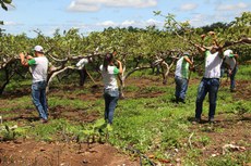 IMG_6761.JPG IMG_6761.JPG