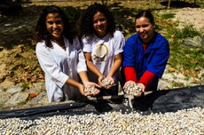 Vinculado ao curso de Edificações, o Laboratório de Ecosoluções abriga o projeto