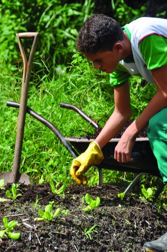 Curso Agricultura.jpg