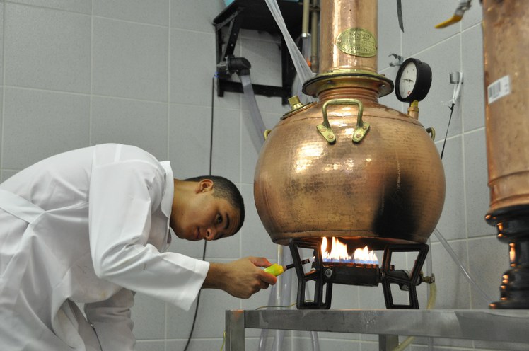 estudante em aula prática.JPG