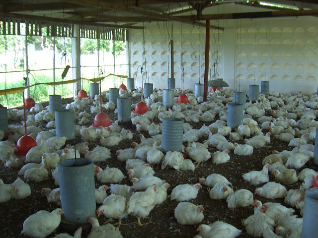 imprensa_banco de imagens_aulas prÃƒÂ¡ticas por curso_agropecuÃƒÂ¡ria.jpg